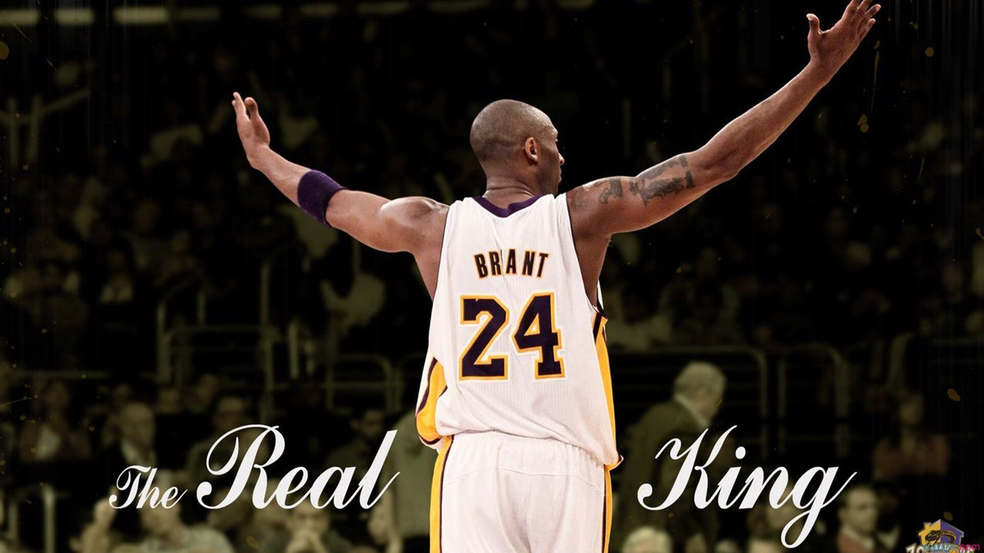 勇士队连续帮忙,联盟霸主地位稳固,勇士队w